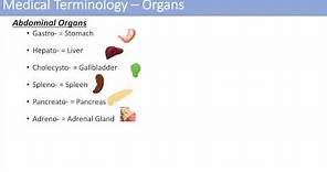 Medical Terminology - The Basics - Lesson 1