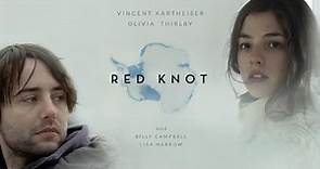 Red Knot Review