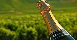 La Route Des Vins - Champagne