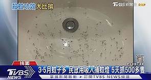 3-5月蚊子多 民眾用吸入捕蚊燈 5天抓500多隻｜TVBS新聞@TVBSNEWS01