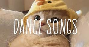 Best dance songs playlist ~ Playlist of songs that'll make you dance