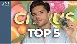 5 Best Men's Citrus Fragrances | Niche Edition