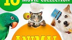 Animal Adventures 10-Movie Collection (Bundle)