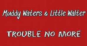 Trouble no more (Muddy Waters / Little Walter) - Tabs