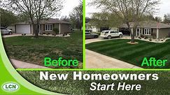 How-to Fix Your Ugly Lawn With This Single Lawn Application