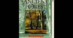 Ytene: The Ancient Forest (1995 UK VHS)