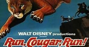 Run, Cougar, Run 1972 Disney Film