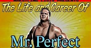 The Life and Career of Mr Perfect