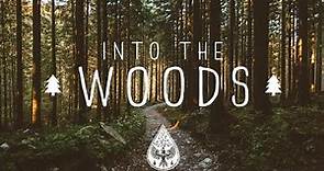 Into The Woods 🌲 - A Mysterious Folk/Pop Playlist