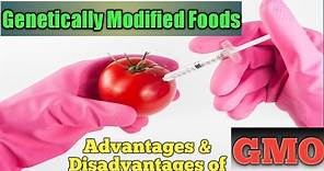 Advantage disadvantage of genetically modified food in 2021 | Genetically modified food good or bad