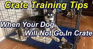 How to Crate train a dog that will not go into crate