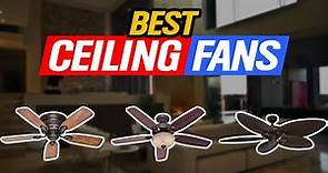 Top 5 Ceiling Fans in 2024👌