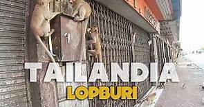 Lopburi 🙈🙉🙊 La ciudad de los monos🐒 VLOG TAILANDIA #11