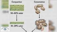 Compaction and Cementation