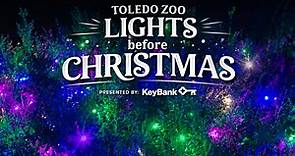 Your guide to the Toledo Zoo Lights Before Christmas 2022