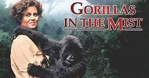 Gorilas en la niebla - Trailer V.O Subtitulado