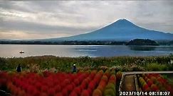 【LIVE】河口湖 大石公園 富士山ライブカメラ【ライブ】 "mount fuji live camera" from Lake Kawaguchiko