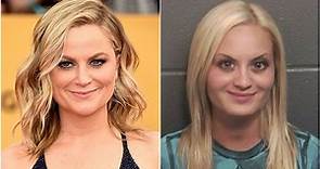 Amy Poehler and her lookalike Britney Simmons leave Twitter scandalized