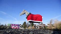 The Horsforth A65 'The White Horse' sculpture wearing it's red Christmas coat, Christmas garland, an