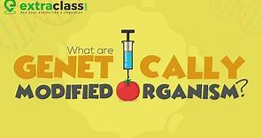 What are Genetically Modified Organism? | Biology | Extraclass.com