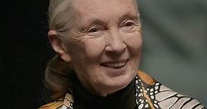 Jane Goodall, primatóloga