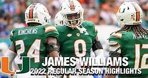 James Williams 2022 Regular Season Highlights | Miami DB