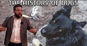 The History of Dogs: evolution, archaeology, and mythology | Full lecture (University of Wyoming)