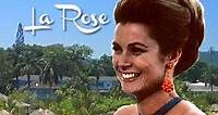 Where to stream Monte Carlo: C'est La Rose (1968) online? Comparing 50  Streaming Services
