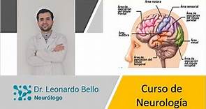 Curso de neurología aprende fácil y rápido