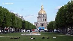 This park in Paris uses sheep instead of lawnmowers
