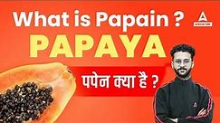 What is Papain? पपैन क्या है? Papain Extraction from Papaya | Papain Uses Papain Enzyme Agriculture