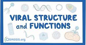 Viral Structure and Functions