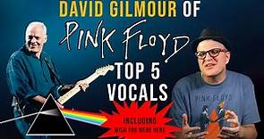 Story Behind David Gilmour of Pink Floyd's Best Vocal Performances | VOX | Professor of Rock
