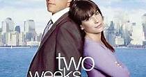 Two Weeks Notice - Due settimane per innamorarsi - Film (2002)