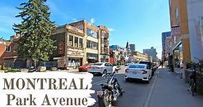 Pleasant Walk in Montreal on Park Avenue - 10 min from Downtown Montreal #parkavenue #montreal2020