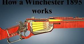 How a Winchester 1895 works