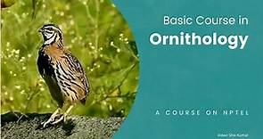 Basic Course in Ornithology