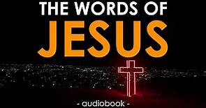 Bible Audiobook • The Words of Jesus | Scripture Music
