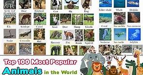 Top 100 Most Popular Animals in the World