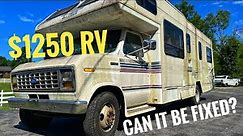31 year old RV parked for years! Can we clean it up and camp in it?