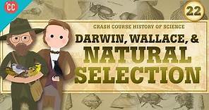 Darwin and Natural Selection: Crash Course History of Science #22
