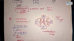 Bioinorganic chemistry | Metalloporphyrin Complex | ACS