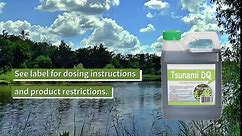 Crystal Blue Tsunami DQ Aquatic Herbicide- Quart - 37.3 Percent Diquat Dibromide – Concentrated Aquatic Weed Killer for Lakes and Ponds - Duckweed, Watermeal, Curly Leaf, Pondweed & Many More