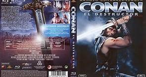 Conan, el destructor (1984) (Latino)