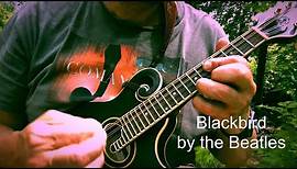 “Blackbird” by the Beatles on Mandolin
