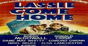 La Cadena Invisible 1943 Latino (Lassie Come Home)