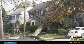 Wind Topples Tree Onto Home In Nutley, New Jersey