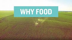 Why Food?