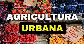¿Qué es La Agricultura Urbana? DEFINICIÓN DE AGRICULTURA URBANA