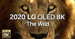 2020 LG OLED 8K l The Wild 8K HDR 60fps